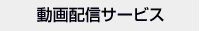 動画配信サービスについて